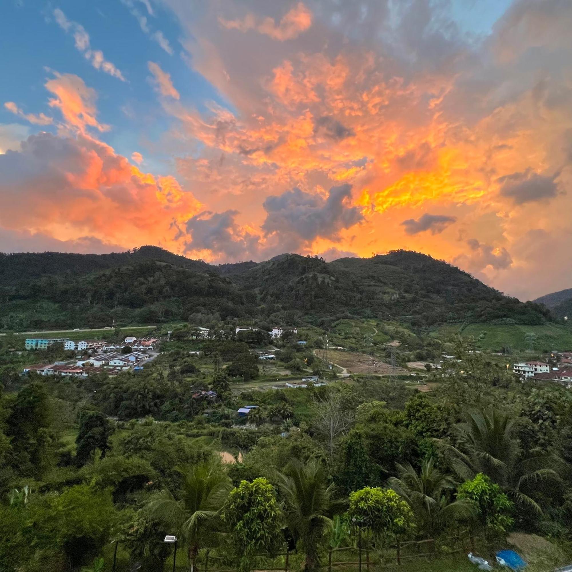 The Brooklyn Bentong